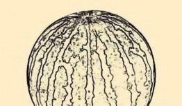 2024大瓜事件,揭秘娱乐圈风云变幻